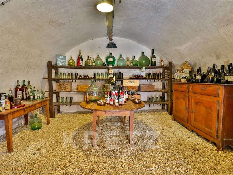 Castle Brives-sur-Charente