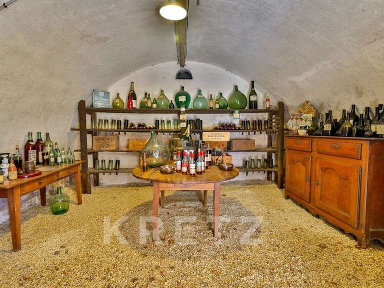 Castle Brives-sur-Charente - 9 bedrooms - 1200m²