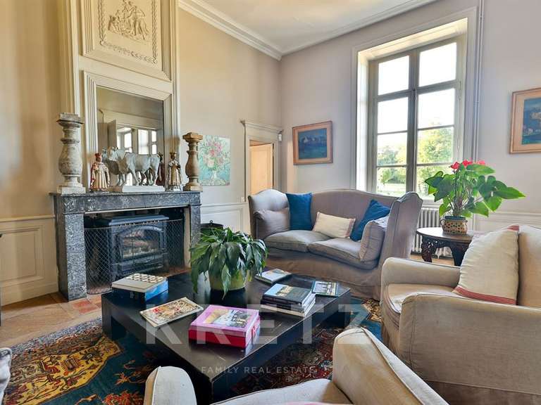 Castle Brives-sur-Charente - 9 bedrooms - 1200m²