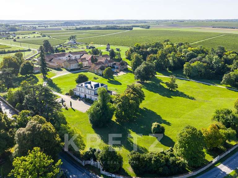 Castle Brives-sur-Charente - 9 bedrooms - 1200m²