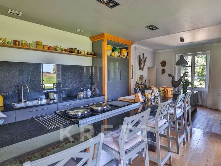 Castle Brives-sur-Charente - 9 bedrooms - 1200m²