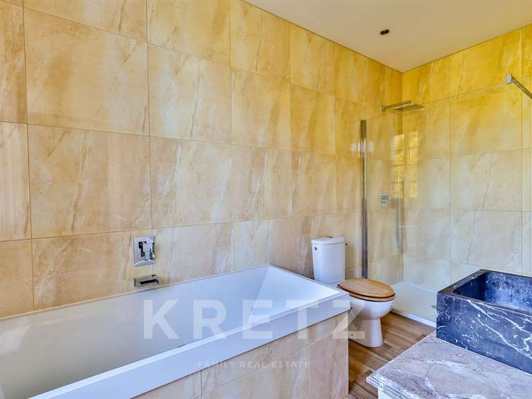 Castle Brives-sur-Charente - 9 bedrooms - 1200m²