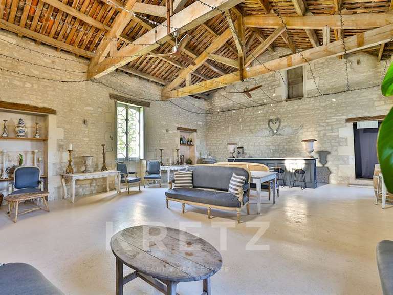 Castle Brives-sur-Charente - 9 bedrooms - 1200m²