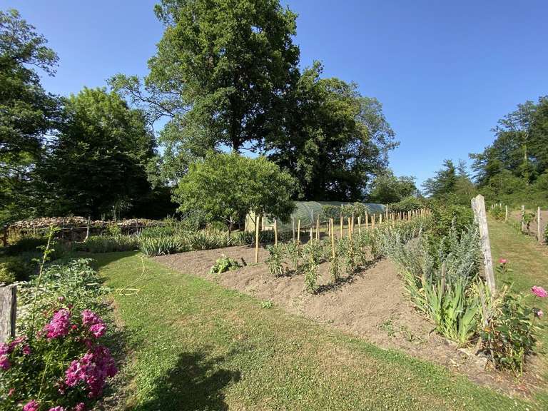Maison Busserolles - 4 chambres - 271m²