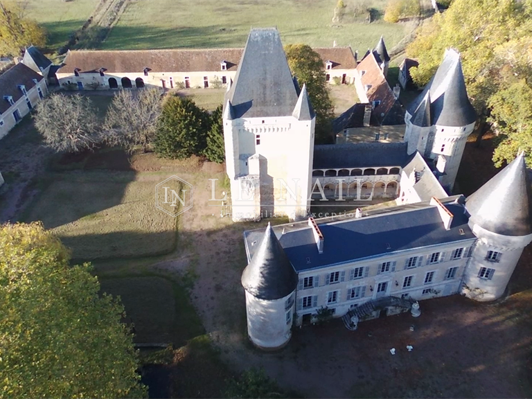 Château Buzançais - 10 chambres - 480m²