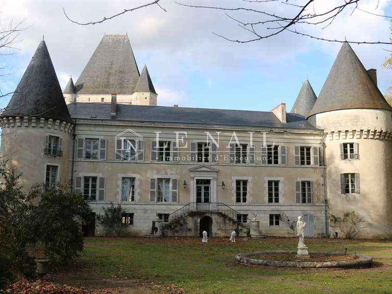 Château Buzançais - 10 chambres - 480m²