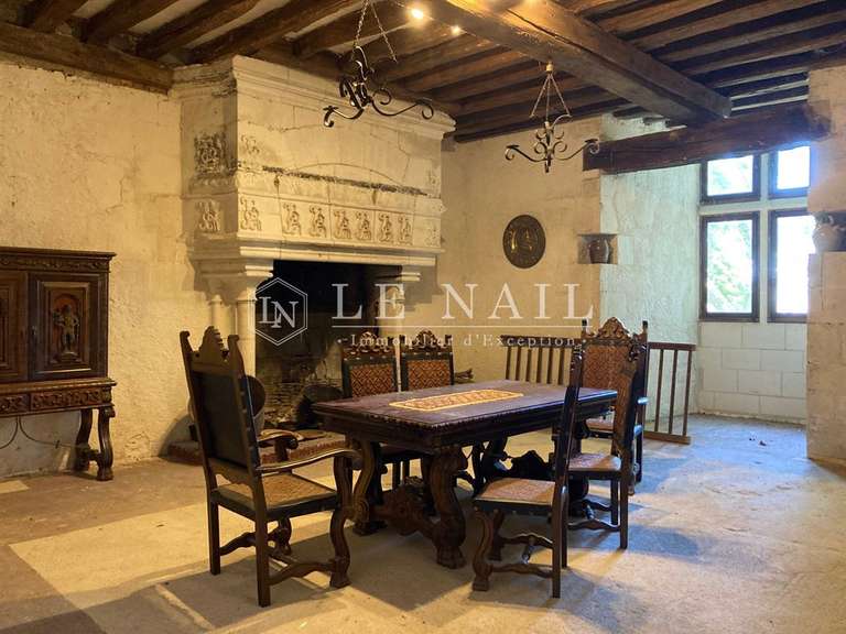 Château Buzançais - 10 chambres - 480m²