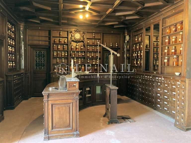 Castle Buzançais - 10 bedrooms - 480m²