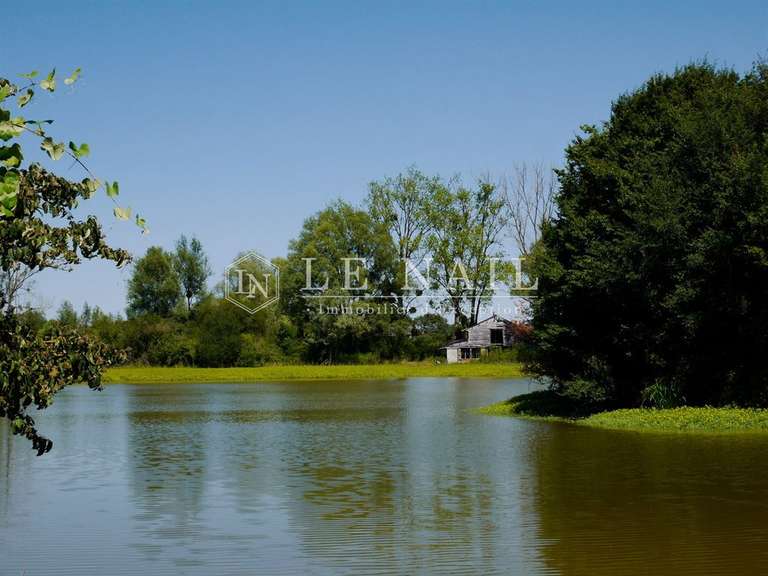 Castle Buzançais - 10 bedrooms - 480m²