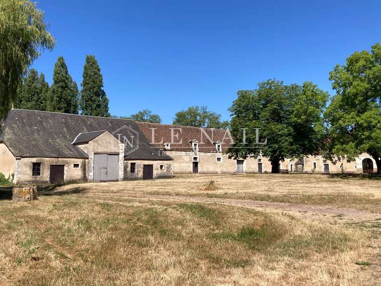 Castle Buzançais - 10 bedrooms - 480m²