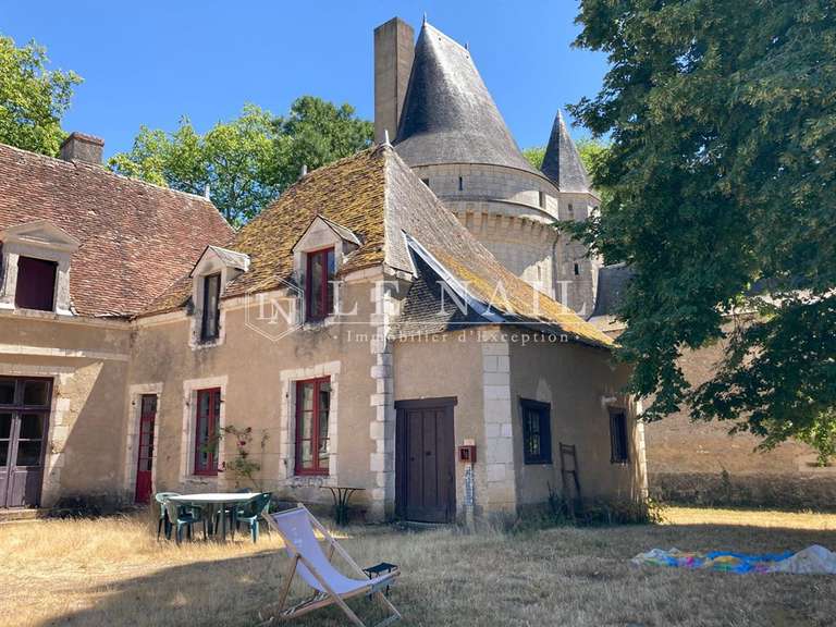 Castle Buzançais - 10 bedrooms - 480m²