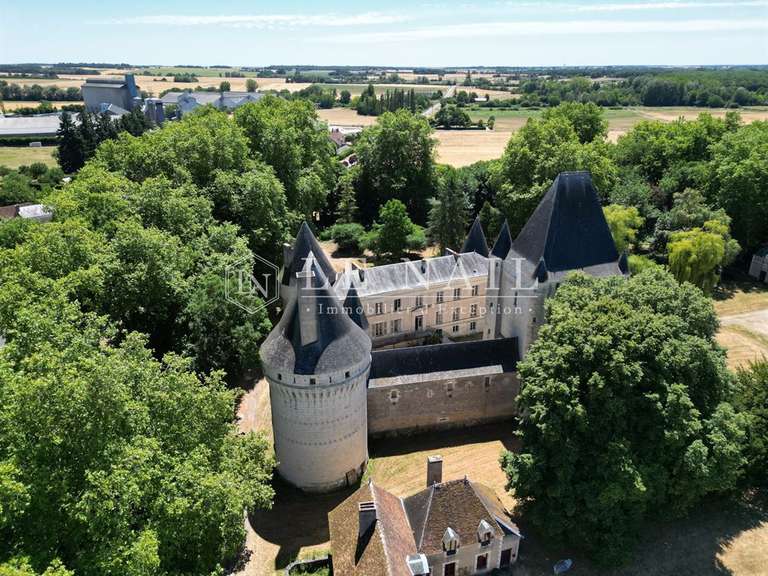 Château Buzançais - 10 chambres - 480m²