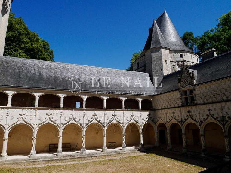 Château Buzançais - 10 chambres - 480m²