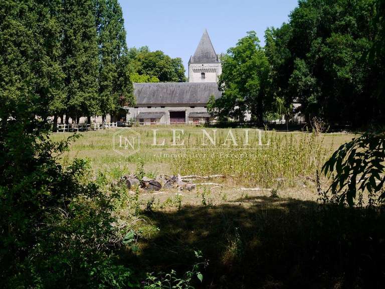 Château Buzançais - 10 chambres - 480m²
