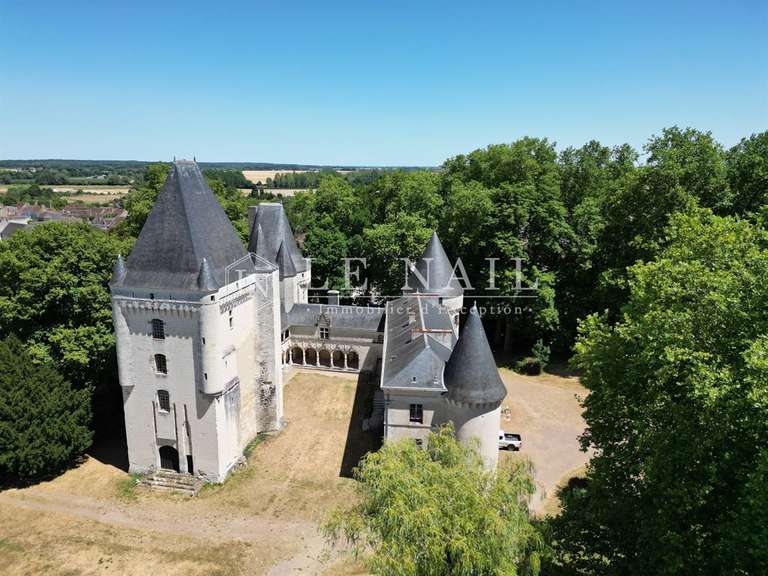 Château Buzançais - 10 chambres - 480m²
