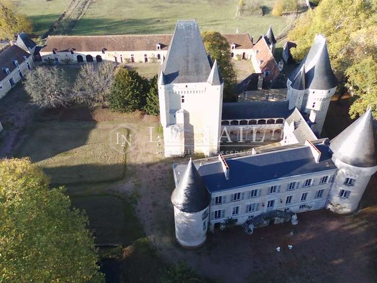 Castle Buzançais - 10 bedrooms - 480m²