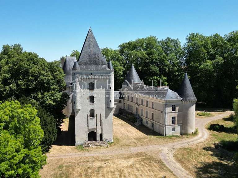 Castle Buzançais - 10 bedrooms - 480m²
