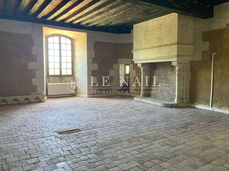 Castle Buzançais - 10 bedrooms - 480m²