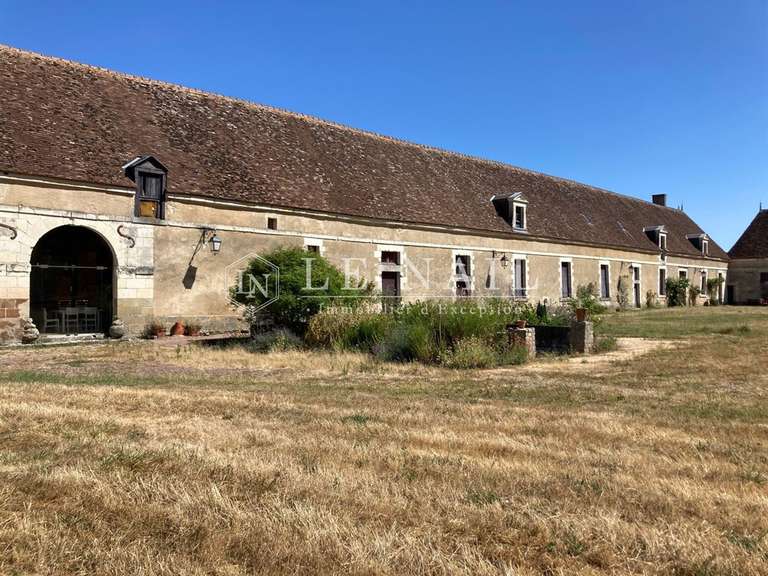 Castle Buzançais - 10 bedrooms - 480m²