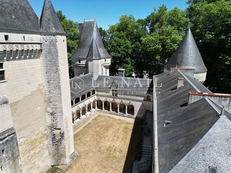 Castle Buzançais - 10 bedrooms - 480m²