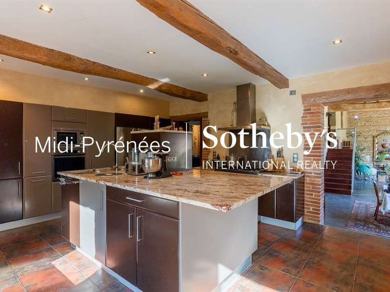 House Buzet-sur-Tarn - 5 bedrooms - 390m²