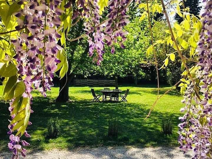 Maison Cabannes - 4 chambres - 636m²