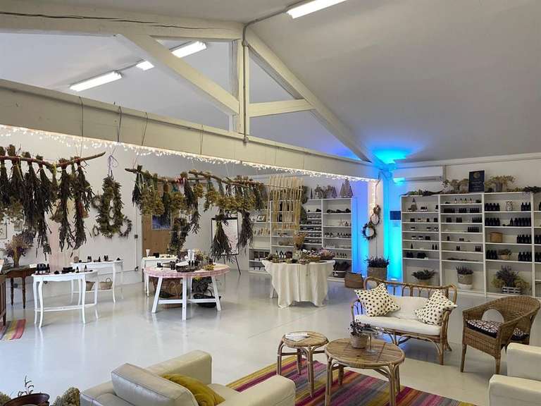 Maison Cabannes - 4 chambres - 636m²