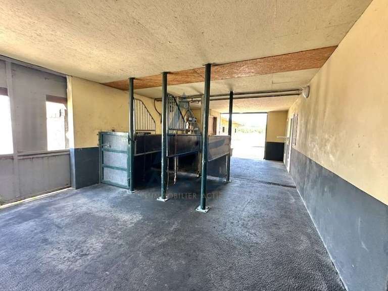 Maison Cabourg - 3 chambres
