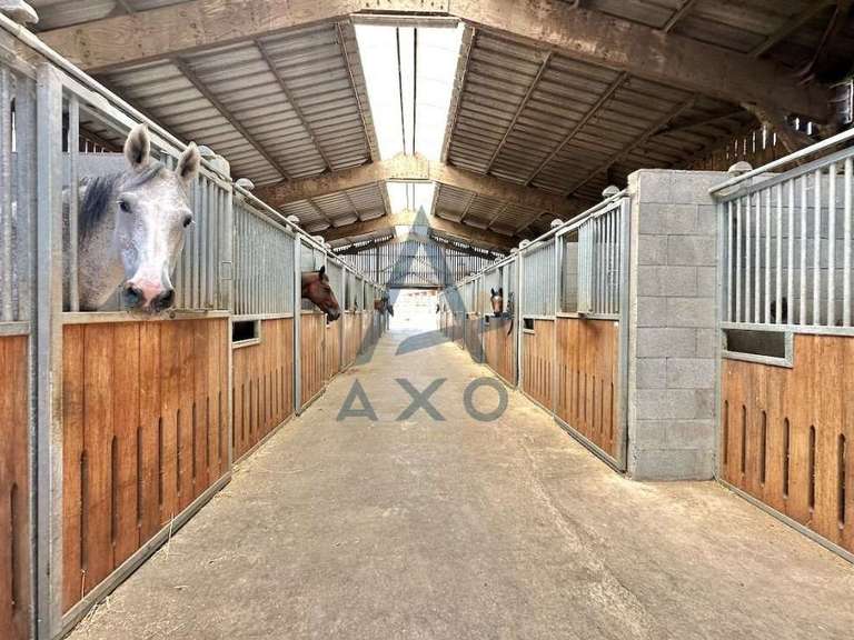Maison Cabourg - 3 chambres