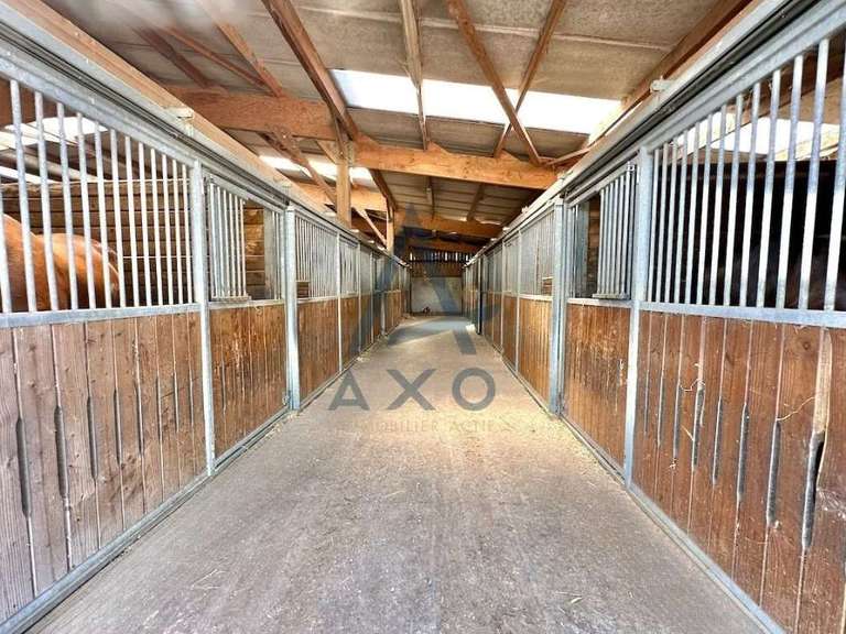 House Cabourg - 4 bedrooms