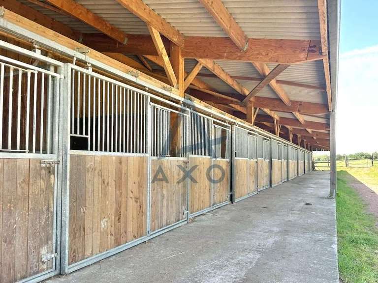 House Cabourg - 4 bedrooms