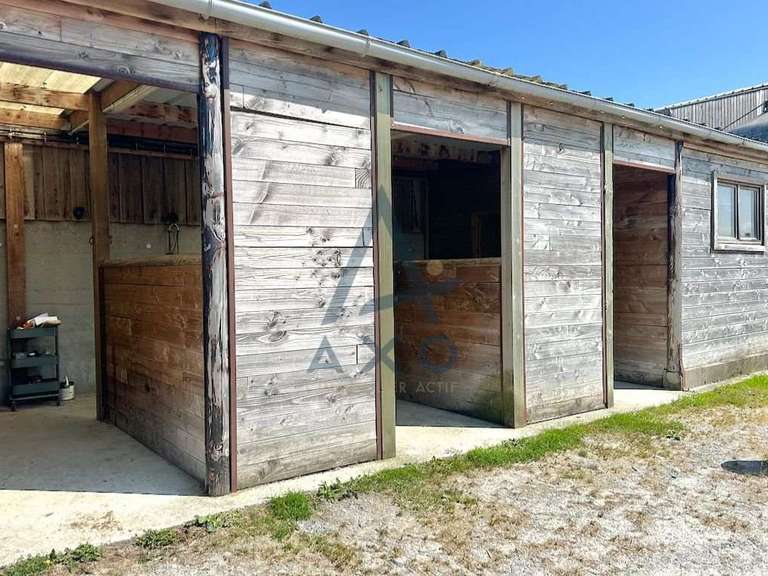 Maison Cabourg - 4 chambres