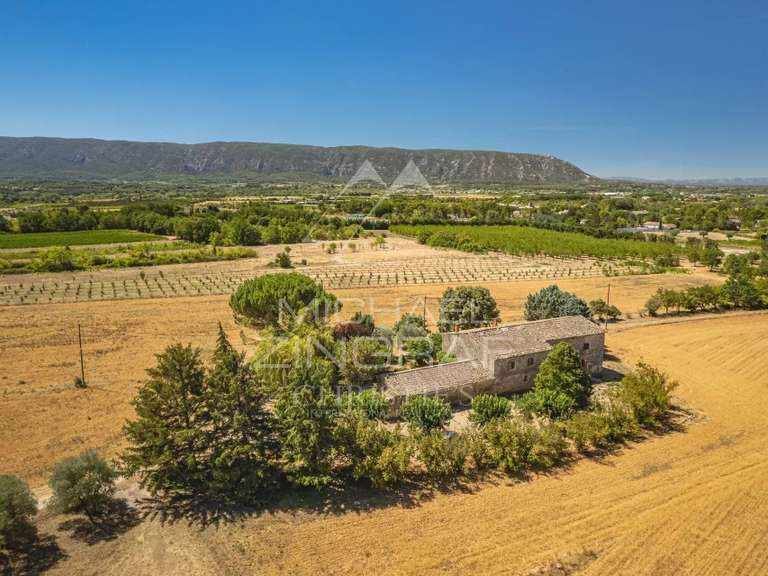 Maison Cabrières-d'Avignon - 4 chambres - 396m²