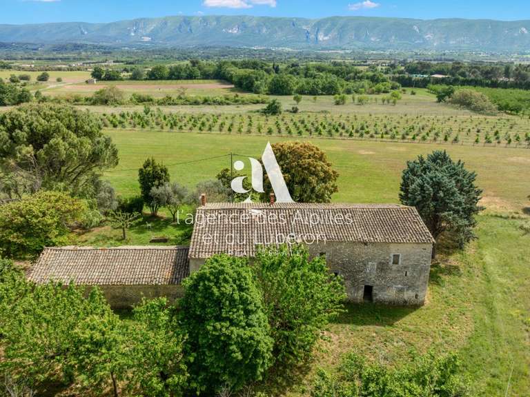 Maison Cabrières-d'Avignon - 4 chambres - 400m²