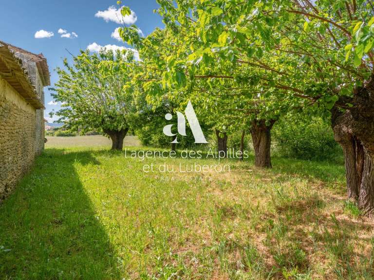 Maison Cabrières-d'Avignon - 4 chambres - 400m²