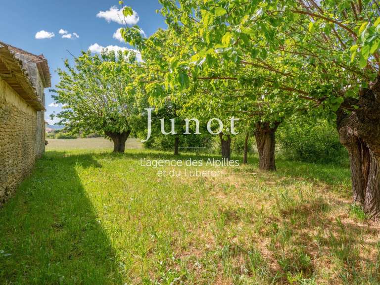 House Cabrières-d'Avignon - 4 bedrooms - 400m²