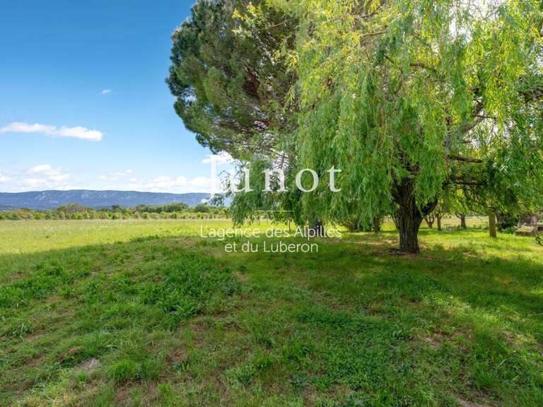 House Cabrières-d'Avignon - 4 bedrooms - 400m²
