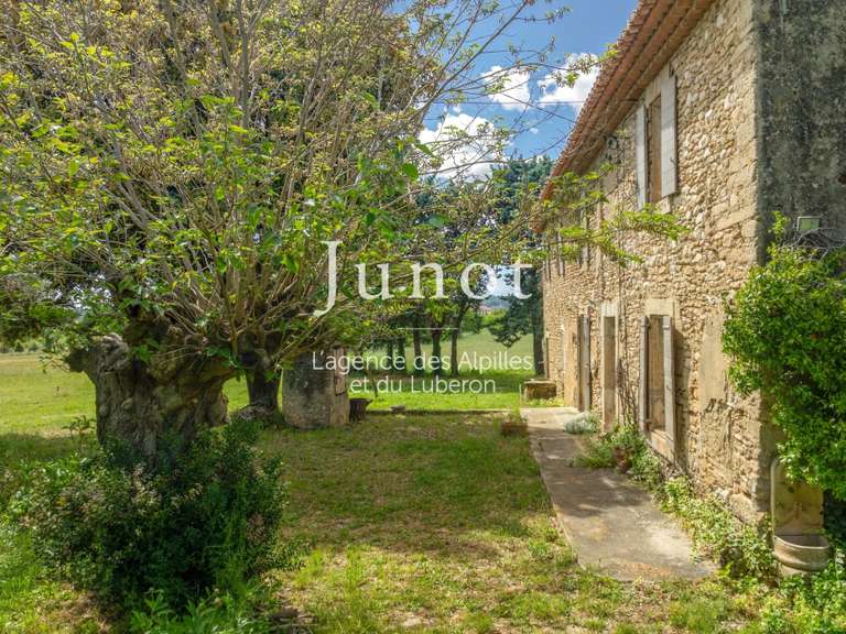 Maison Cabrières-d'Avignon - 4 chambres - 400m²