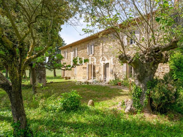 Maison Cabrières-d'Avignon - 4 chambres - 400m²