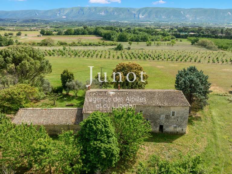 Maison Cabrières-d'Avignon - 4 chambres - 400m²