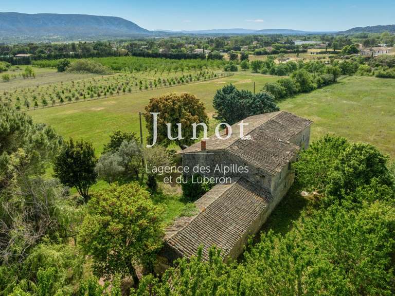Maison Cabrières-d'Avignon - 4 chambres - 400m²