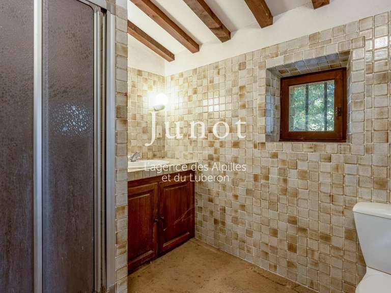 Maison Cabrières-d'Avignon - 3 chambres - 212m²