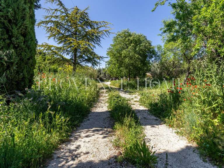 Terrain Cabrières-d'Avignon