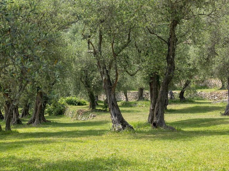 Maison Cabris - 9 chambres - 364m²