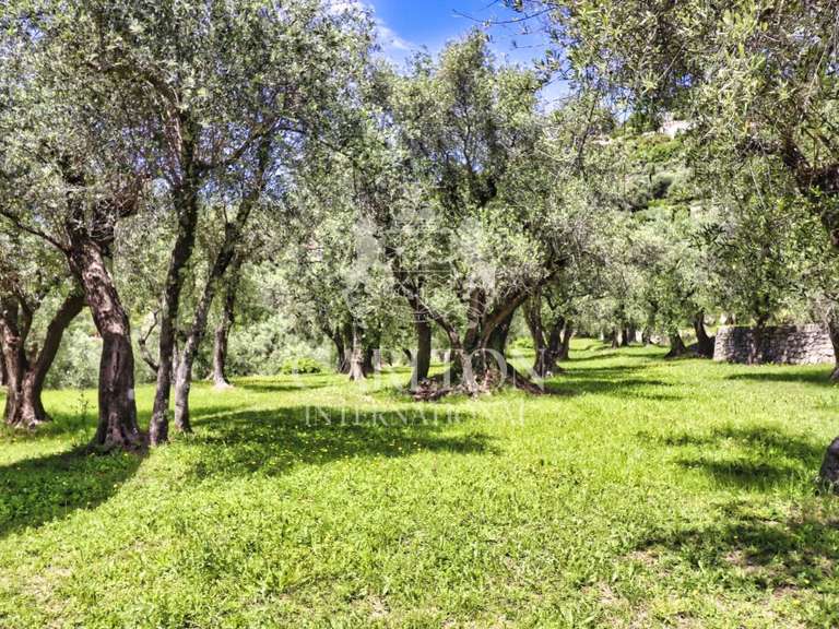 House Cabris - 9 bedrooms - 375m²