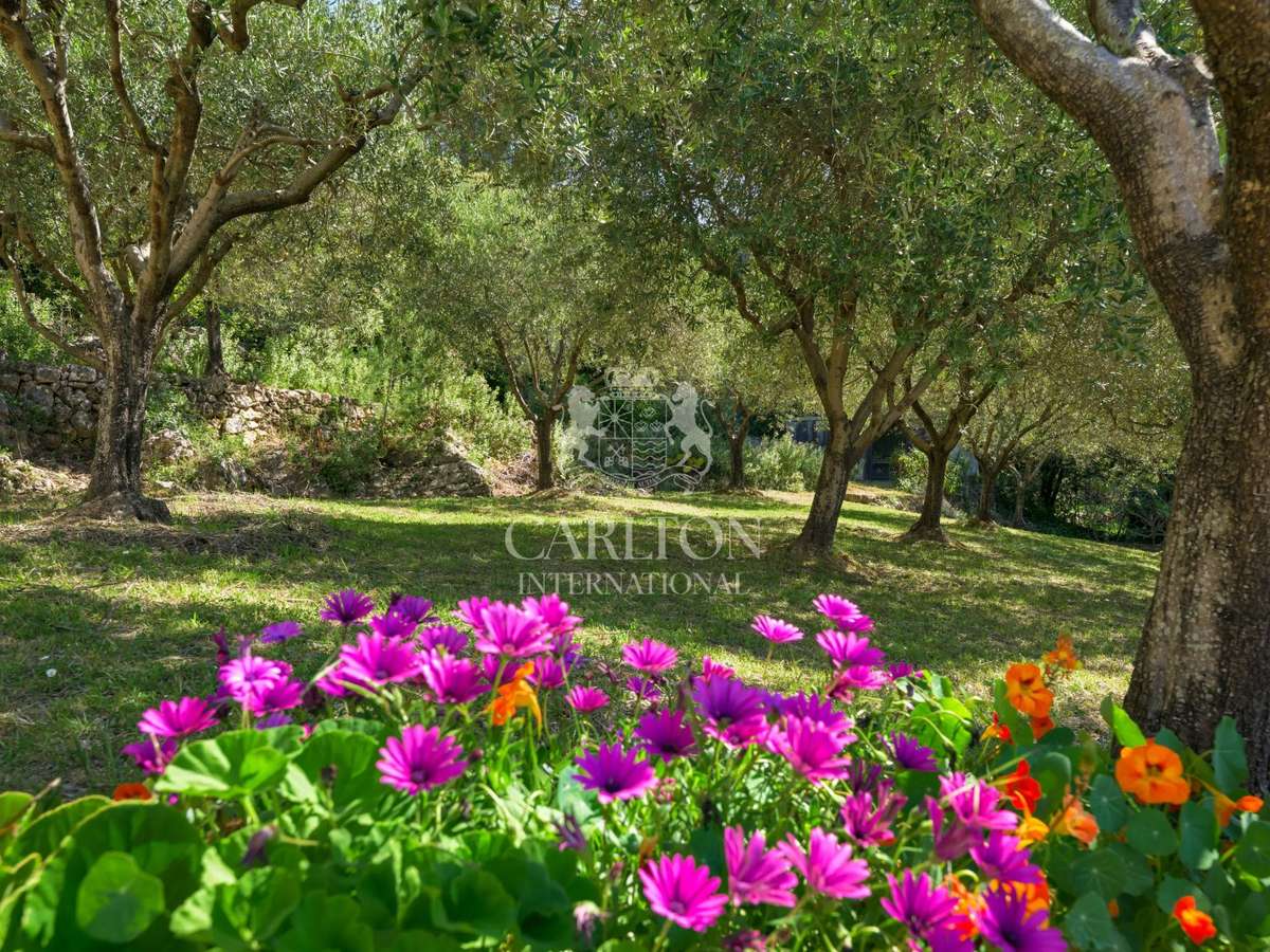 Villa Cabris
