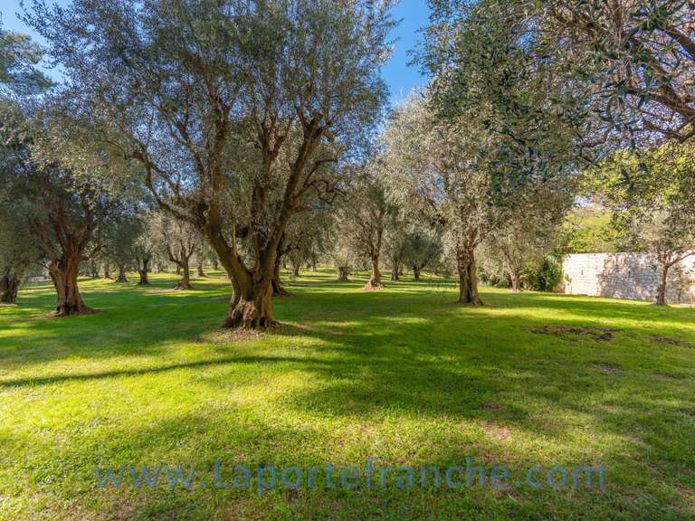 Appartement avec Vue sur mer Cagnes-sur-Mer - 3 chambres - 115m²