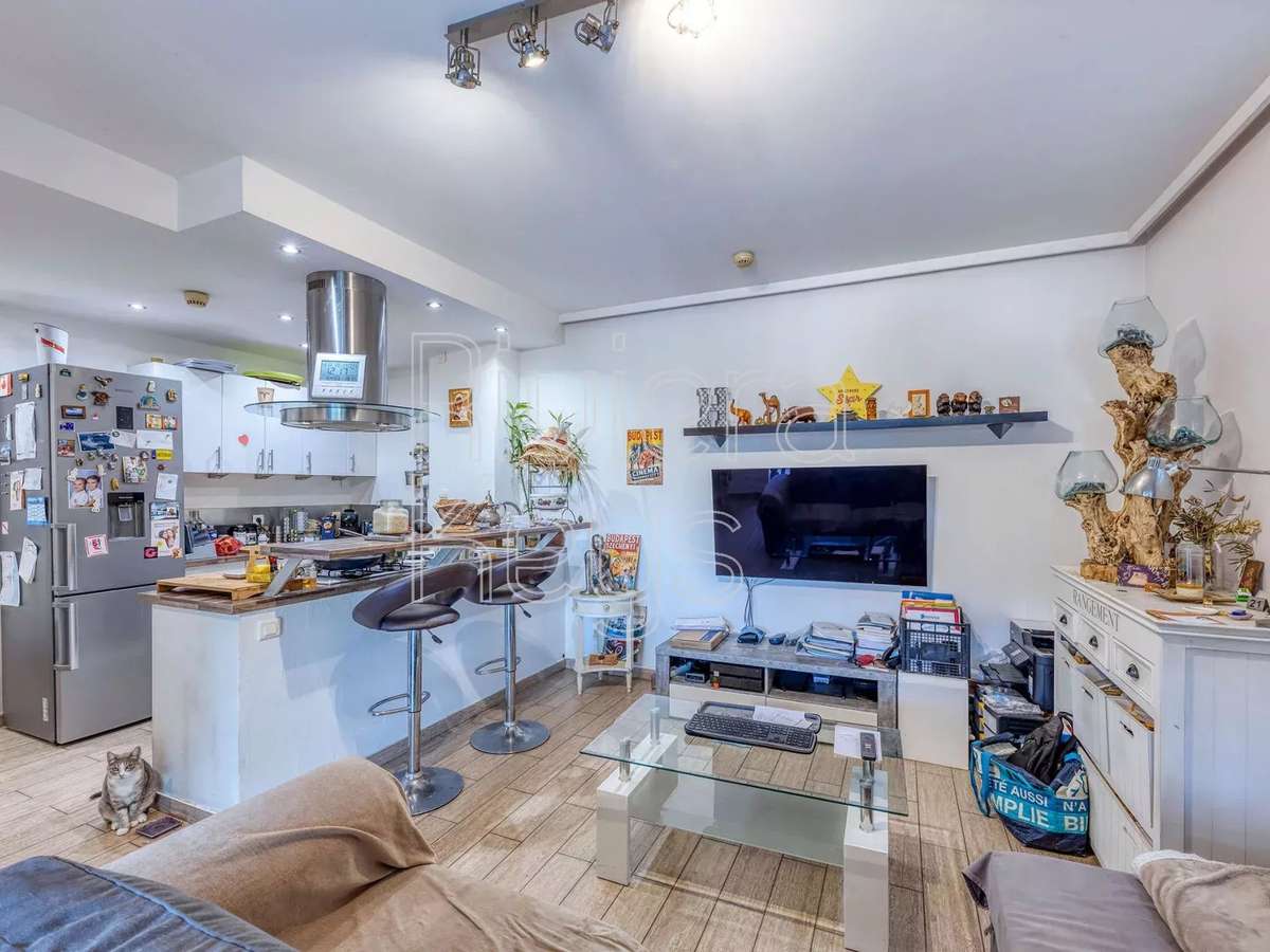 House Cagnes-sur-Mer