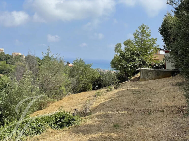 Terrain Cagnes-sur-Mer - 4811m²