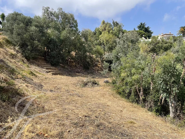 Terrain Cagnes-sur-Mer - 4811m²